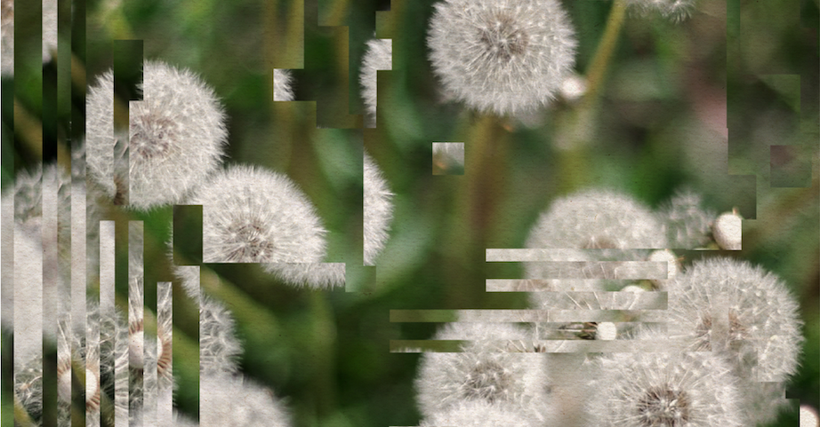 The distortion of the image aims to highlight how processes unseen in the AI development pipeline can breakdown natural environments. AI impacts