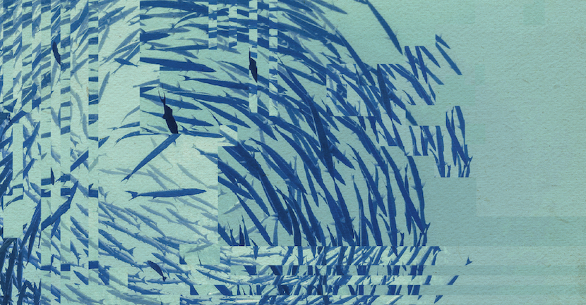 The image reveals the intentional, coordinated social lives of animals which are often invisible to humans.